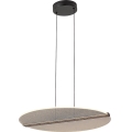Rabalux - LED-riippuvalaisin vaijerilla LED/24W/230V 3000K