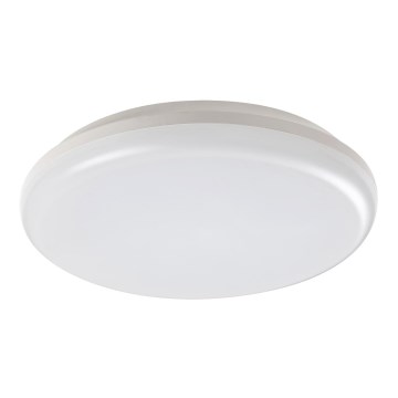 Rabalux - LED-ulkokattovalaisin LED/24W/230V IP64