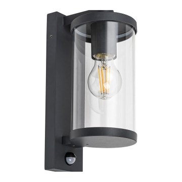 Rabalux - Ulkoseinävalaisin anturilla 1xE27/60W/230V IP44