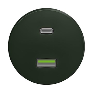 Reblig - Retro USB-pistorasia A+C, kehyksetön, vihreä
