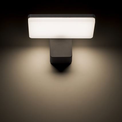 RED - Design Rendl - R11947- LED Ulkoseinävalo RINA LED/12W/230V IP65