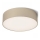 RED - Design Rendl - R13482 - LED-kattovalo LARISA LED/20W/230V beige