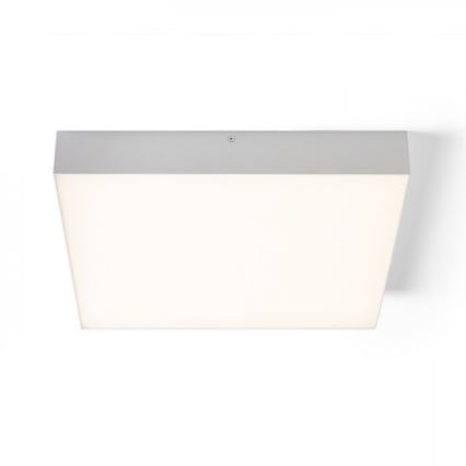 RED - Design Rendl - R13489 - LED-kattovalo LARISA LED/50W/230V valkoinen