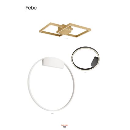Redo 01-2819 - Himmennettävä LED-seinävalaisin FEBE LED/24W/230V musta