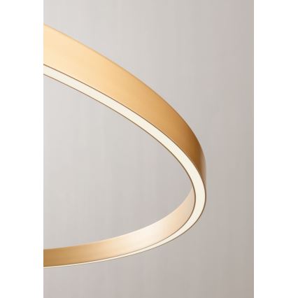 Redo 01-2835 - Himmennettävä LED-seinävalaisin FEBE LED/24W/230V kulta