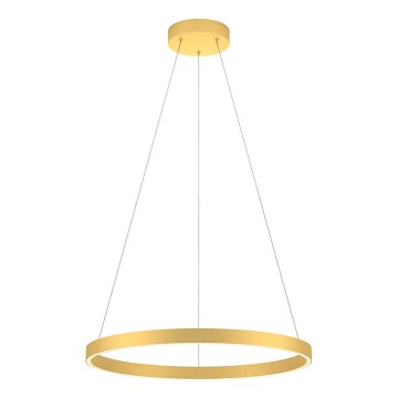 Redo 01-2865 - LED-himmennettävä riippuvalaisin kaapelilla FEBE LED/37W/230V kultainen