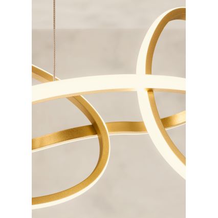 Redo 01-3392 - LED-himmennettävä riippuvalaisin kaapelilla BIAS LED/120W/230V 3000/4500/6500K CRI 90 kultainen