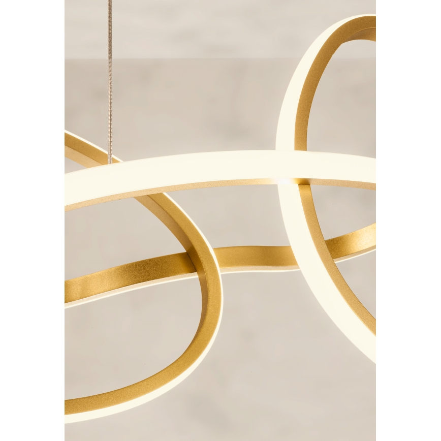 Redo 01-3392 - LED-himmennettävä riippuvalaisin kaapelilla BIAS LED/120W/230V 3000/4500/6500K CRI 90 kultainen