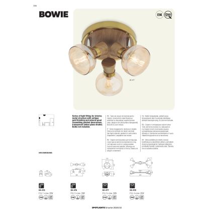 Redo 04-476 - Kohdevalo BOWIE 2xE14/28W/230V