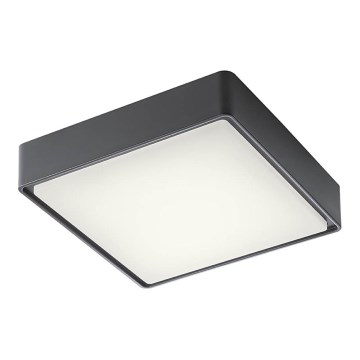 Redo 90157 - LED-ulkokattovalaisin MARINA LED/12W/230V 22x22 cm IP65 antrasiitti