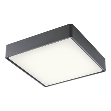 Redo 90158 - LED-ulkokattovalaisin MARINA LED/16W/230V 29,6x29,6 cm IP65 antrasiitti