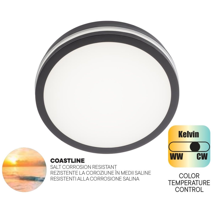 Redo 90286 - LED-ulkokattovalaisin ISOLA LED/24W/230V halkaisija 26 cm 3000/4000/6500K IP54 antrasiitti