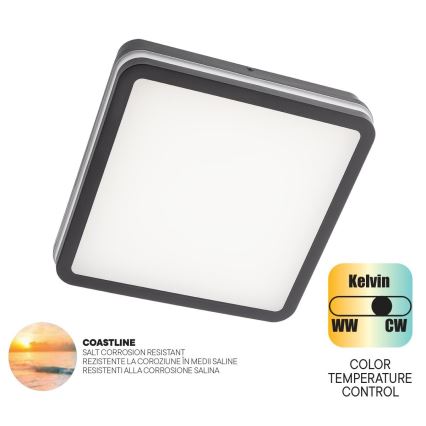 Redo 90288 - LED-ulkokattovalaisin ISOLA LED/24W/230V 26x26 cm 3000/4000/6500K IP54 antrasiitti
