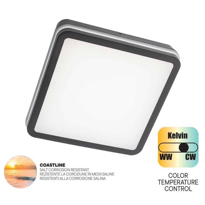 Redo 90288 - LED-ulkokattovalaisin ISOLA LED/24W/230V 26x26 cm 3000/4000/6500K IP54 antrasiitti