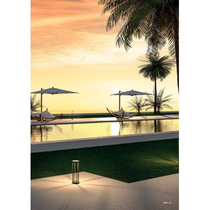 Redo 90578 - LED-ulkovalaisin KALEN LED/8W/230V 3000K 50 cm IP65 antrasiitti