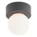 Redo 90641 - Ulkokattovalo BULK 1xE27/28W/230V IP44 antrasiitti