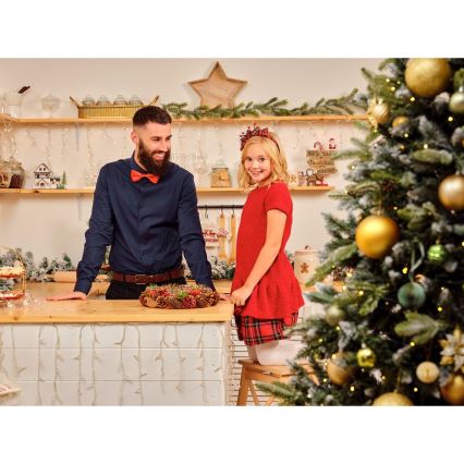 LED-joulukoriste LED/2xLR44/lämpimänvalkoinen talo