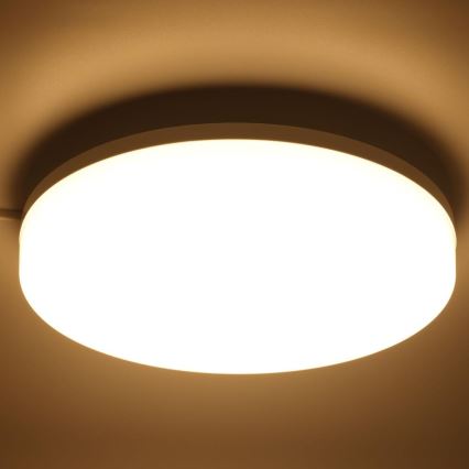 LED RGBW himmennettävä kylpyhuoneen kattovalaisin LED/20W/230V Wi-Fi IP44 valkoinen