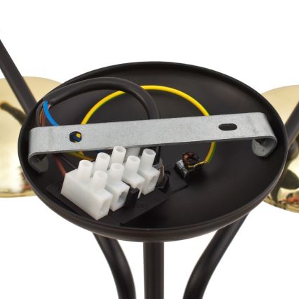 Riippukattokruunu CARINA 5xE14/40W/230V