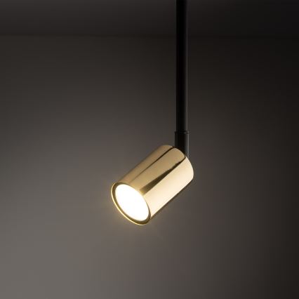 Riippukattokruunu 1-vaiheiselle kiskojärjestelmälle TOP 1xGU10/10W/230V kulta/musta