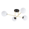 Riippukattokruunu MAGNUM 4xE14/10W/230V valkoinen/kulta/musta