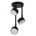 Riippukattokruunu NEMO 3xGX53/12W/230V musta