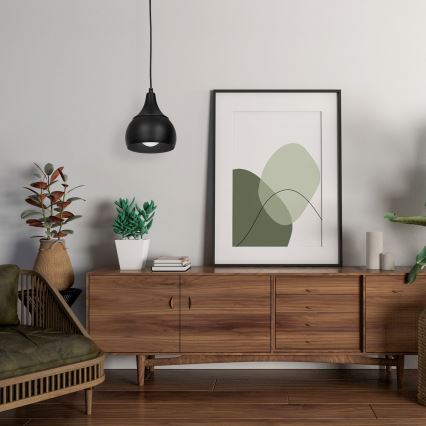 Riippuvalaisin AKTAN 1xE27 / 60W / 230V musta