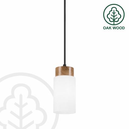 Riippuvalaisin vaijerilla MARKUS 1xE27/15W/230V musta/tammi