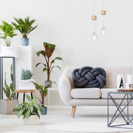 Riippuvalaisin ORAZIO johdolla 1xE27/60W/230V pyökki