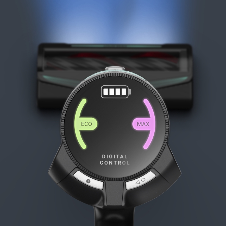 Rowenta - Sauvaimuri X-FORCE FLEX 250W/18,5V 2000 mAh