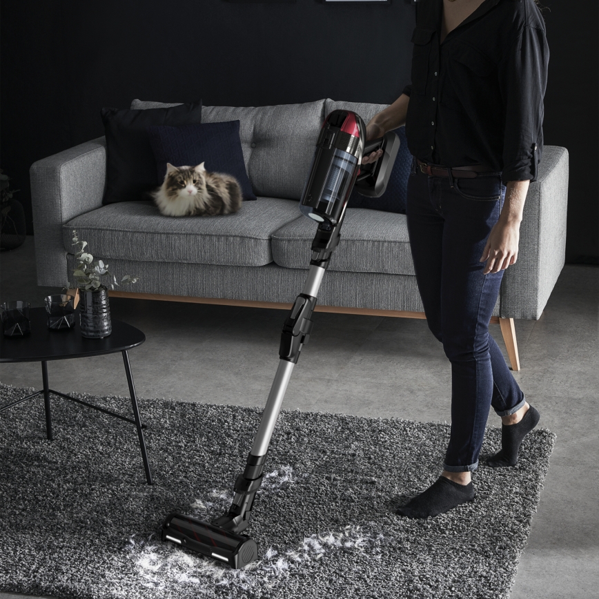 Rowenta - Sauvaimuri X-FORCE FLEX ANIMAL CARE 320W/25,2V musta 2000 mAh