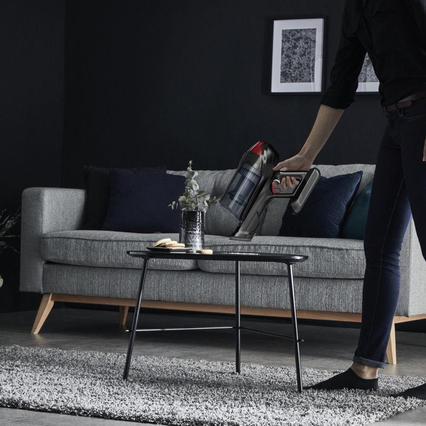 Rowenta - X-FORCE FLEX ANIMAL CARE 2-in-1 sauvaimuri 320W/25,2V musta 2000 mAh