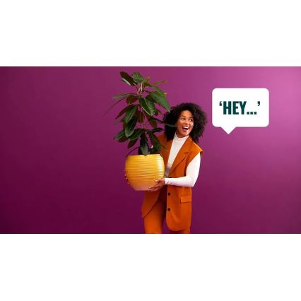 SETTI 2x himmennettävä LED-lamppu PAR16 GU10/4,7W/230V 2700-6500K CRI 90 Wi-Fi - WiZ