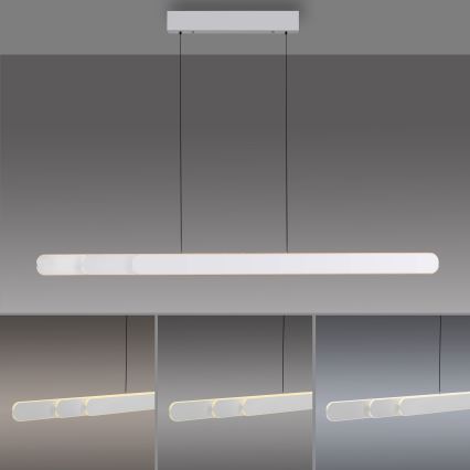 Schöner Wohnen 12577-16 - Himmennettävä LED-riippuvalaisin vaijerilla ADRIANA ROUND 2xLED/24W/230V 2700/3000/3500/4000/5000K 160 cm valkoinen