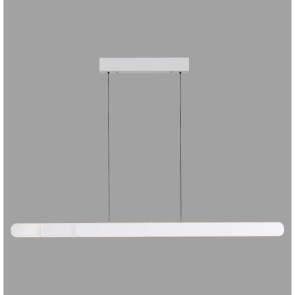 Schöner Wohnen 12577-16 - Himmennettävä LED-riippuvalaisin vaijerilla ADRIANA ROUND 2xLED/24W/230V 2700/3000/3500/4000/5000K 160 cm valkoinen