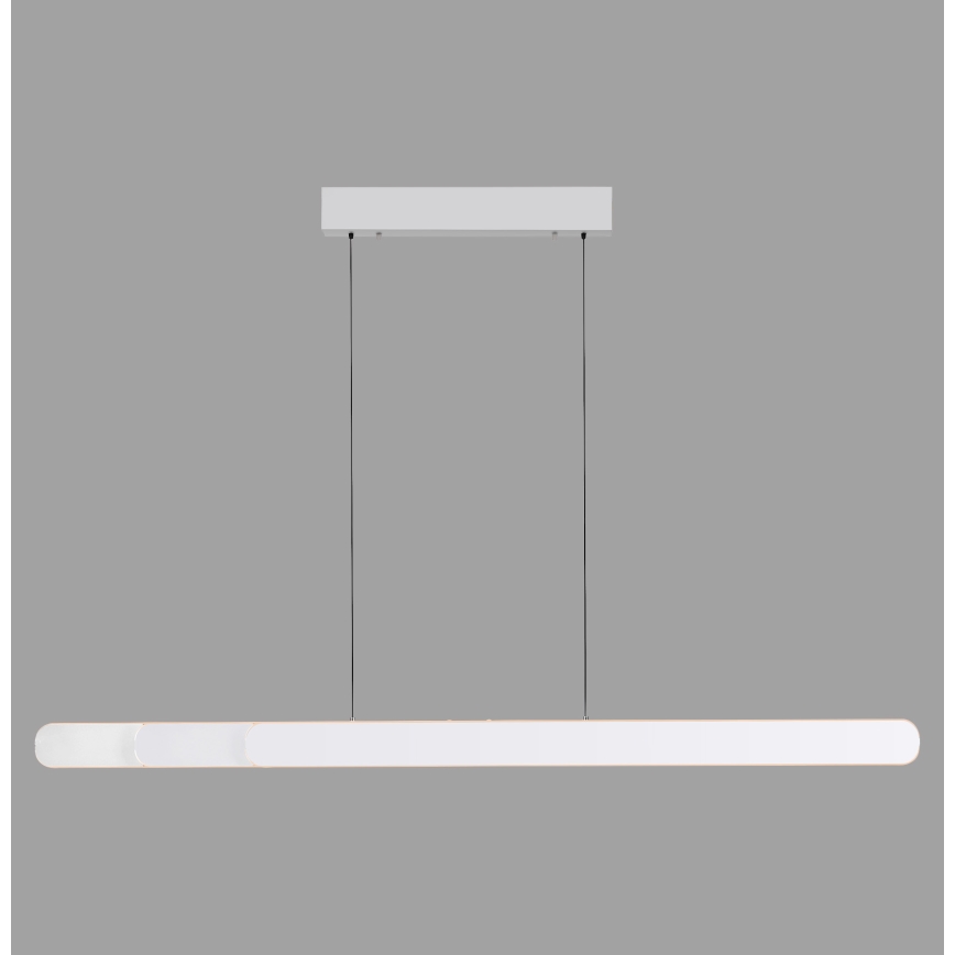 Schöner Wohnen 12577-16 - Himmennettävä LED-riippuvalaisin vaijerilla ADRIANA ROUND 2xLED/24W/230V 2700/3000/3500/4000/5000K 160 cm valkoinen