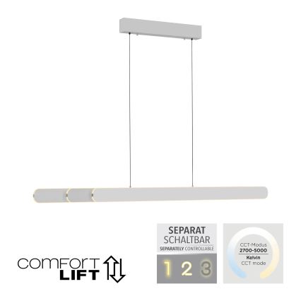Schöner Wohnen 12577-16 - Himmennettävä LED-riippuvalaisin vaijerilla ADRIANA ROUND 2xLED/24W/230V 2700/3000/3500/4000/5000K 160 cm valkoinen