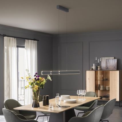 Schöner Wohnen 12577-18 - himmennettävä LED-riippuvalaisin vaijerilla ADRIANA ROUND 2xLED/24W/230V 2700/3000/3500/4000/5000K musta