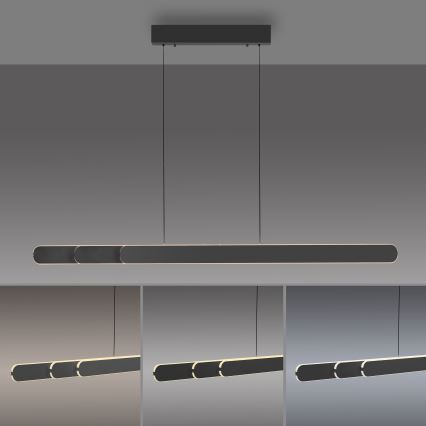 Schöner Wohnen 12577-18 - himmennettävä LED-riippuvalaisin vaijerilla ADRIANA ROUND 2xLED/24W/230V 2700/3000/3500/4000/5000K musta