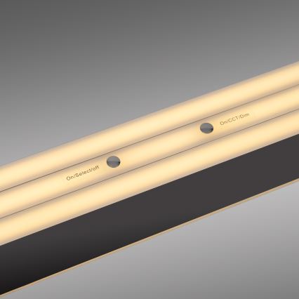 Schöner Wohnen 12577-18 - himmennettävä LED-riippuvalaisin vaijerilla ADRIANA ROUND 2xLED/24W/230V 2700/3000/3500/4000/5000K 160 cm musta