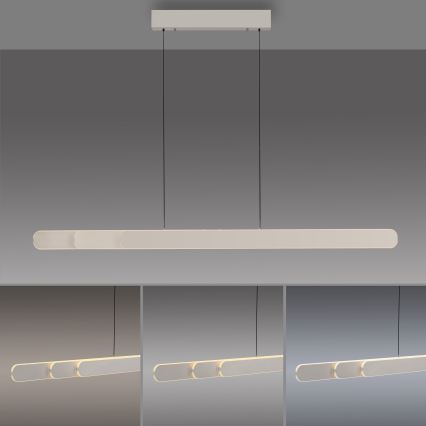 Schöner Wohnen 12577-39 - ADRIANA ROUND himmennettävä LED-riippuvalaisin kaapelilla 2xLED/24W/230V 2700/3000/3500/4000/5000K 160 cm harmaa