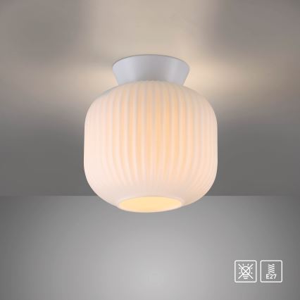 Schöner Wohnen 13574-16 - NAMI-kattovalaisin 1xE27/25W/230V, halkaisija 20 cm, valkoinen