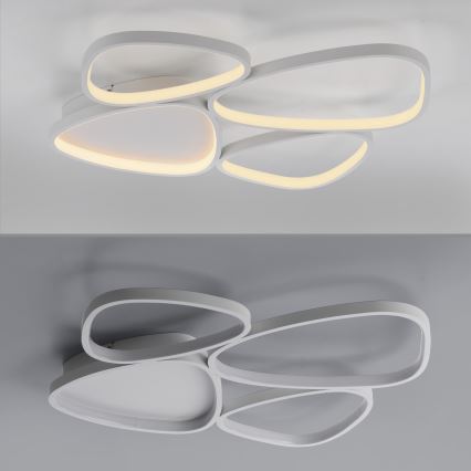 Schöner Wohnen 14038-16 - LED himmennettävä kattovalaisin PEBBLES LED/35,5W/230V valkoinen