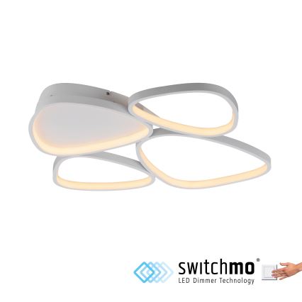 Schöner Wohnen 14038-16 - LED himmennettävä kattovalaisin PEBBLES LED/35,5W/230V valkoinen