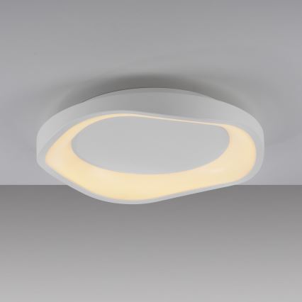 Schöner Wohnen 14233-16 - LED himmennettävä kattovalaisin MONTA LED/21W/230V halkaisija 40 cm valkoinen