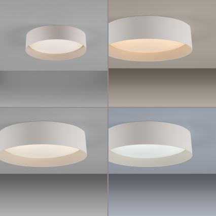 Schöner Wohnen 14593-39 - TAVOLI LED-himmennettävä kattovalaisin LED/10W/230V 2700-6500K halkaisija 28,5 cm, harmaa + kaukosäädin