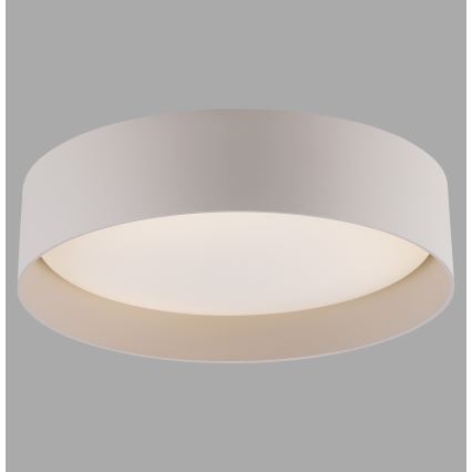 Schöner Wohnen 14593-39 - TAVOLI LED-himmennettävä kattovalaisin LED/10W/230V 2700-6500K halkaisija 28,5 cm, harmaa + kaukosäädin