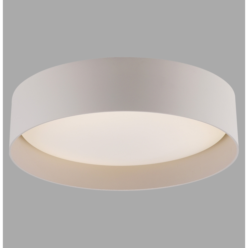 Schöner Wohnen 14593-39 - TAVOLI LED-himmennettävä kattovalaisin LED/10W/230V 2700-6500K halkaisija 28,5 cm, harmaa + kaukosäädin