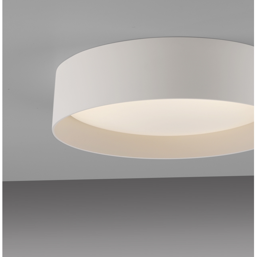 Schöner Wohnen 14593-39 - TAVOLI LED-himmennettävä kattovalaisin LED/10W/230V 2700-6500K halkaisija 28,5 cm, harmaa + kaukosäädin