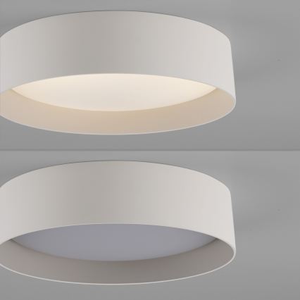 Schöner Wohnen 14593-39 - TAVOLI LED-himmennettävä kattovalaisin LED/10W/230V 2700-6500K halkaisija 28,5 cm, harmaa + kaukosäädin